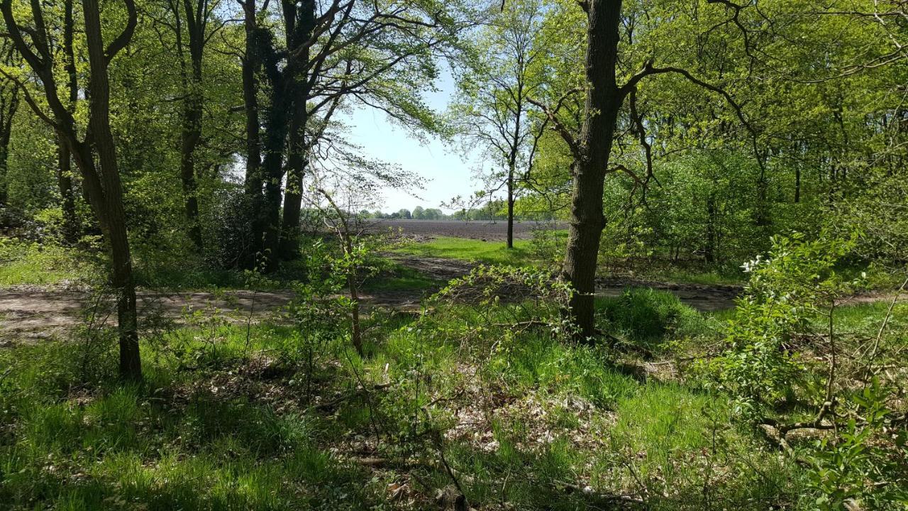 Chalet Drenthe Villa Schoonloo Bagian luar foto