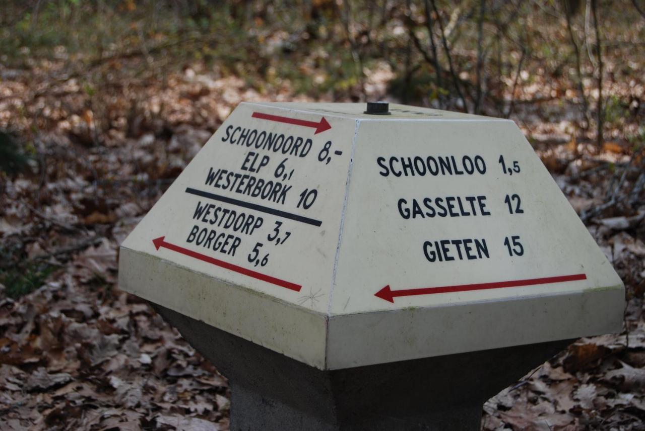 Chalet Drenthe Villa Schoonloo Bagian luar foto