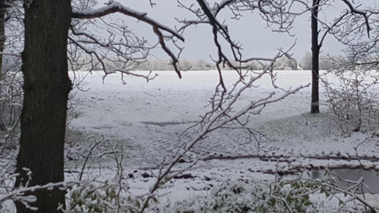 Chalet Drenthe Villa Schoonloo Bagian luar foto