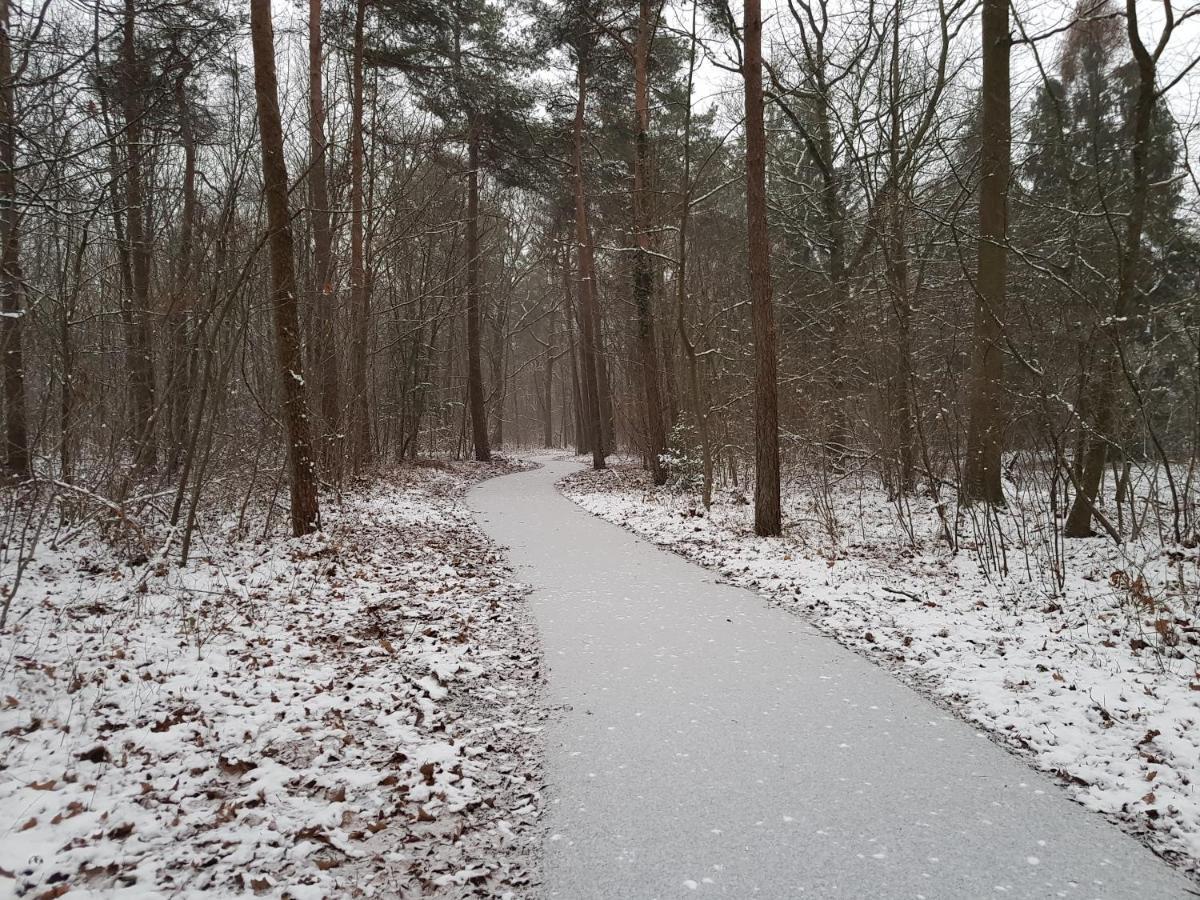 Chalet Drenthe Villa Schoonloo Bagian luar foto
